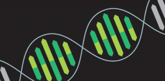 Biotech & Biochemistry Project Post