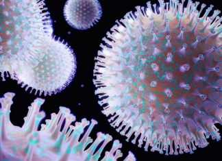 Annamalai University Hiring MSc Candidates for Project Position