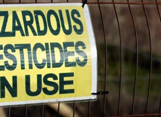 Novel RNA Vaccine Could Free Plants from Pesticide Use