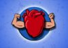 Researchers found The Protein that “Rules” our Hearts: Titin