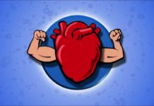 Researchers found The Protein that “Rules” our Hearts: Titin