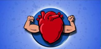 Researchers found The Protein that “Rules” our Hearts: Titin