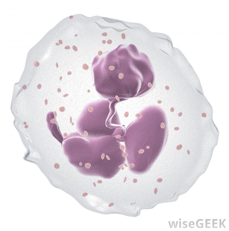 Nano-particles Distract Immune Cells to Reduce Inflammation