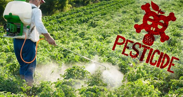 No Link between Pesticide Glyphosate and Cancer-Study