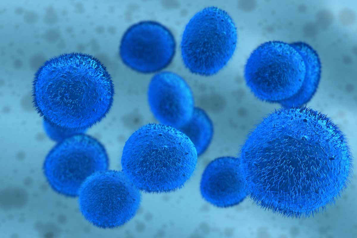  Researchers Develop 3D Gel That Could Help Grow Enough Stem Cells 