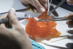 Stratasys Launches Next-Gen BioMimics- Highly Realistic