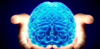 Scientists Find Genetic Correlation between Intelligence and Life Span