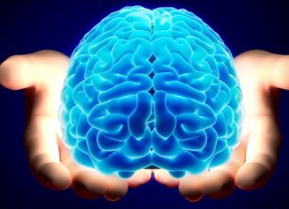 Scientists Find Genetic Correlation between Intelligence and Life Span Scientists Find Genetic Correlation between Intelligence and Life Span