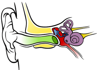 Novel Drug Delivery Device for Inner Ear Disorders Developed