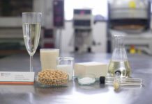 Attention Tofu Lovers! Now you can Get Drunk on your Favourite Meat-Substitute Tofu Lovers! Now you can Get Drunk on your Favourite Meat substitute