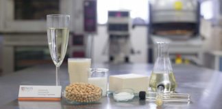 Tofu Lovers! Now you can Get Drunk on your Favourite Meat substitute
