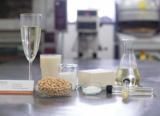 Attention Tofu Lovers! Now you can Get Drunk on your Favourite Meat-Substitute Tofu Lovers! Now you can Get Drunk on your Favourite Meat substitute