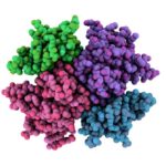 Scientists “Trim-Away” Proteins to Analyse Its True Function Scientists “Trim-Away” Proteins to Analyse Its True Function
