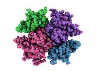 Scientists “Trim-Away” Proteins to Analyse Its True Function
