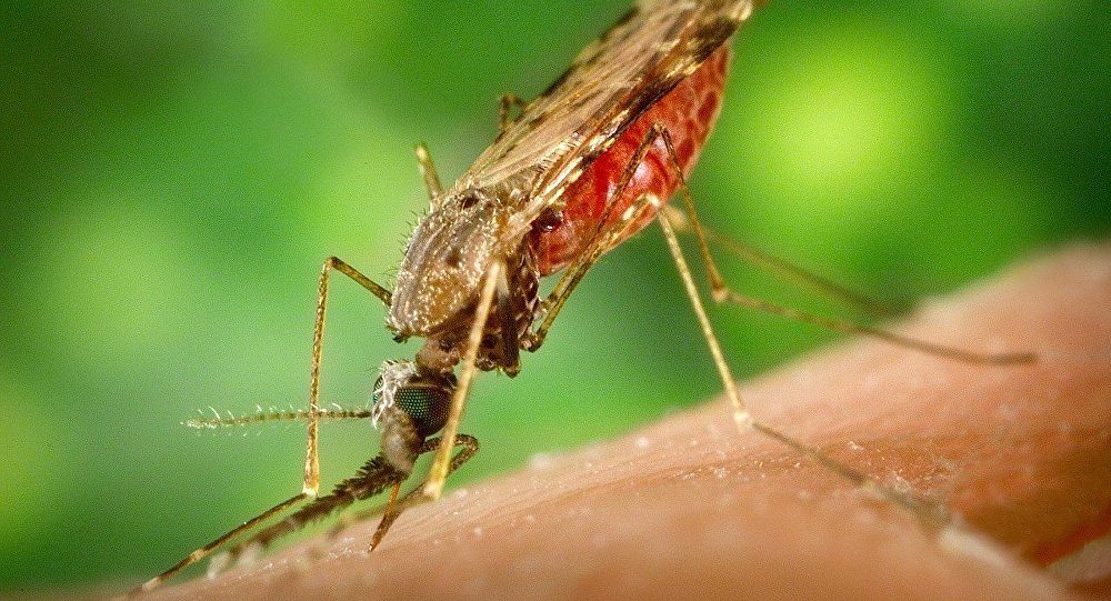 US Military to develop “Genetic Doomsday” Weapon to wipe Entire Species