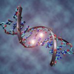 New Study Unties DNA Knot to Improve Sequencing Accuracy