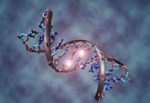 New Study Unties DNA Knot to Improve Sequencing Accuracy