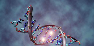 New Study Unties DNA Knot to Improve Sequencing Accuracy