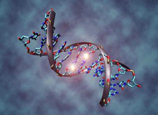 Blood DNA Methylation Markers Detect Fatal Breast Cancer Up To a Year Earlier New Study Unties DNA Knot to Improve Sequencing Accuracy