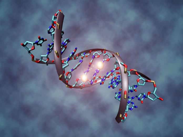 New Study Unties DNA Knot to Improve Sequencing Accuracy