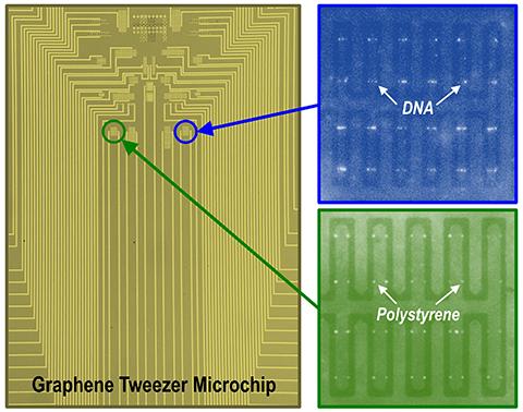 Revolutionary Handheld Disease Diagnostics - Graphene Tweezers