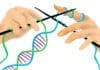 Researchers Decipher New Pathway for Risk-Free Gene Reactivation Researchers Decipher New Pathway for Risk-Free Gene Reactivation