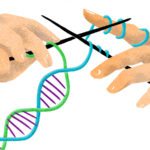 Researchers Decipher New Pathway for Risk-Free Gene Reactivation
