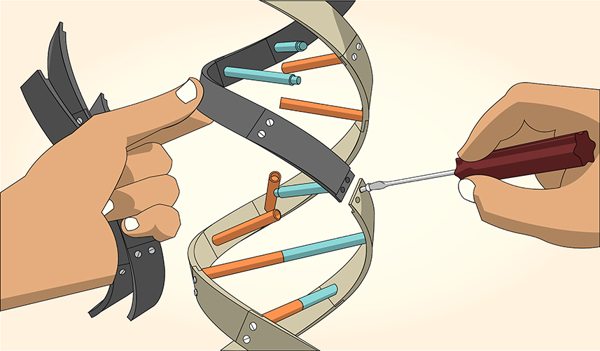 Researchers Decipher New Pathway for Risk-Free Gene Reactivation