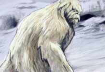 Busted! DNA Evidence Conclusively Proves Yetis Are Really Just Bears Busted! DNA Evidence Conclusively Proves Yetis Are Really Just Bears