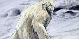 Busted! DNA Evidence Conclusively Proves Yetis Are Really Just Bears