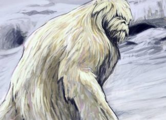 Busted! DNA Evidence Conclusively Proves Yetis Are Really Just Bears Busted! DNA Evidence Conclusively Proves Yetis Are Really Just Bears