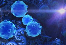 Intravenous Delivery of Oncolytic Reovirus Primes Tumours for Better Cancer Strategy Response Scientists Call Halt to Cancer Cell Proliferation by Shutting Down Enzymes