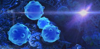 Scientists Call Halt to Cancer Cell Proliferation by Shutting Down Enzymes
