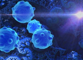 Scientists Call Halt to Cancer Cell Proliferation by Shutting Down Enzymes