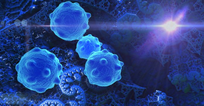 Scientists Call Halt to Cancer Cell Proliferation by Shutting Down Enzymes