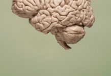 A Complex Brain Choreography to Stop You Dead In Your Tracks Liquid Biopsy for Brain Tumor Biomarker Detection Developed