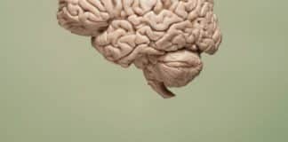 Liquid Biopsy for Brain Tumor Biomarker Detection Developed