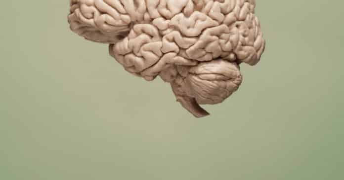 Liquid Biopsy for Brain Tumor Biomarker Detection Developed