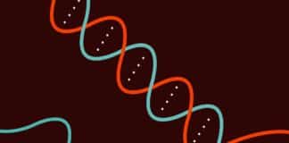Scientists Use CRISPR Gene Editing System to Perform Parallel Edits