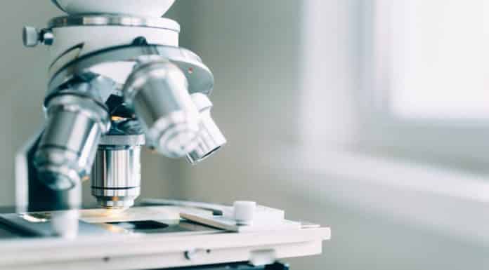 Betting Assistant Wmc