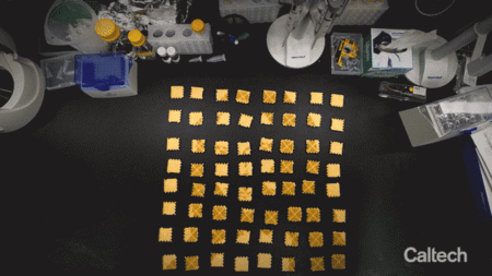 Scientists Piece Together DNA Mosaic Creating Smallest Mona Lisa