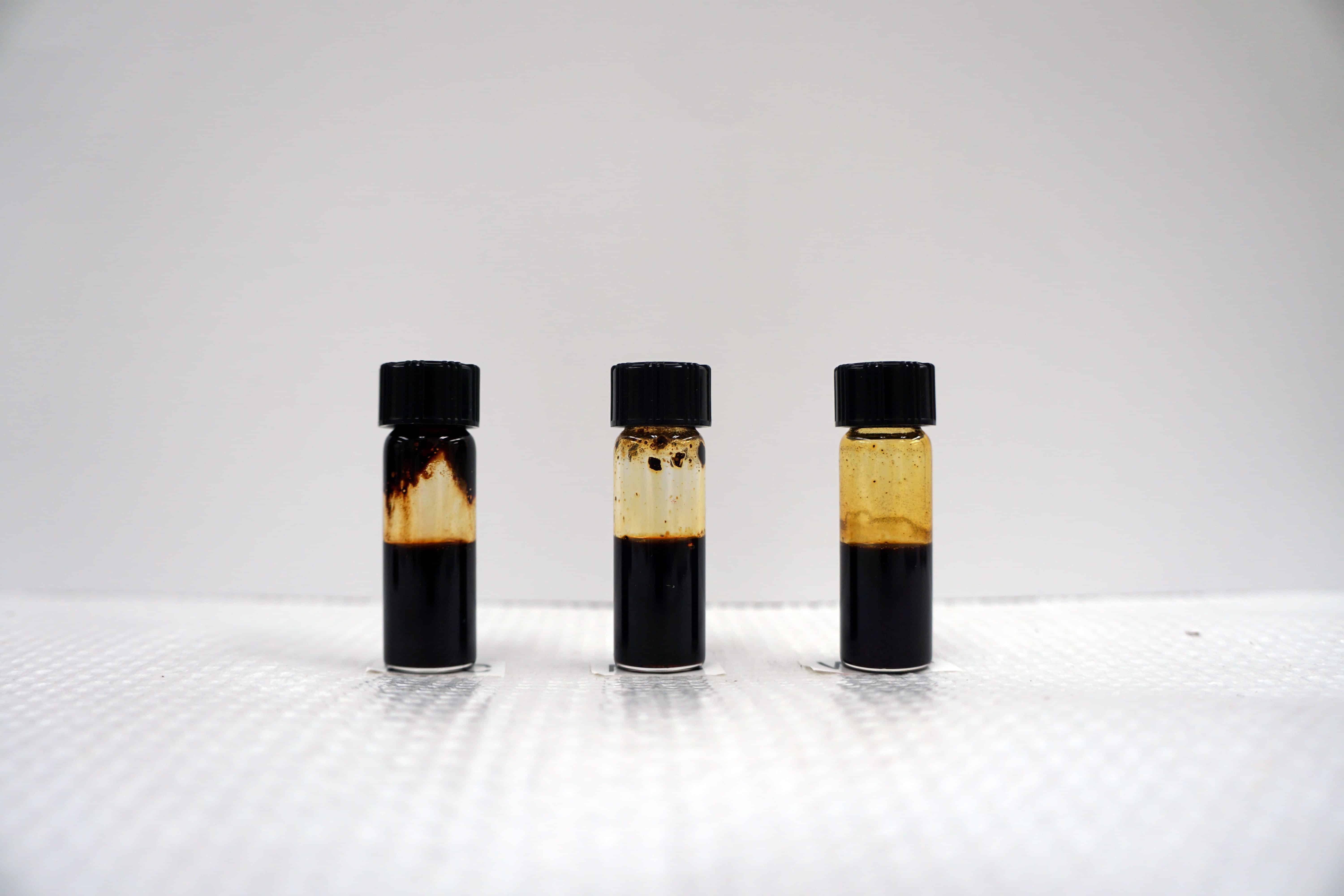 The future of Biofuel: Petite Poplars one of the pacific Northwest best bets