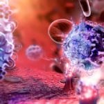 IISER Mohali SRF Jobs