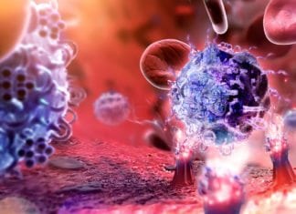 Autoantibodies That Attack ‘Self’ Tissues into Anti-Inflammatory Antibodies IISER Mohali SRF Jobs