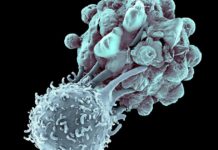 Merck, Cancer Research UK, ICR Team up for Cancer Drug Discovery Immunotherapy Hydrogel for Enhanced Cancer Therapy
