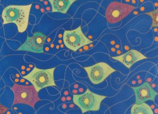 Comfortably Numb: This Italian Family Feels No Pain, All Thanks to a Genetic Mutation Comfortably Numb: This Italian Family Feels No Pain, All Thanks to a Genetic Mutation