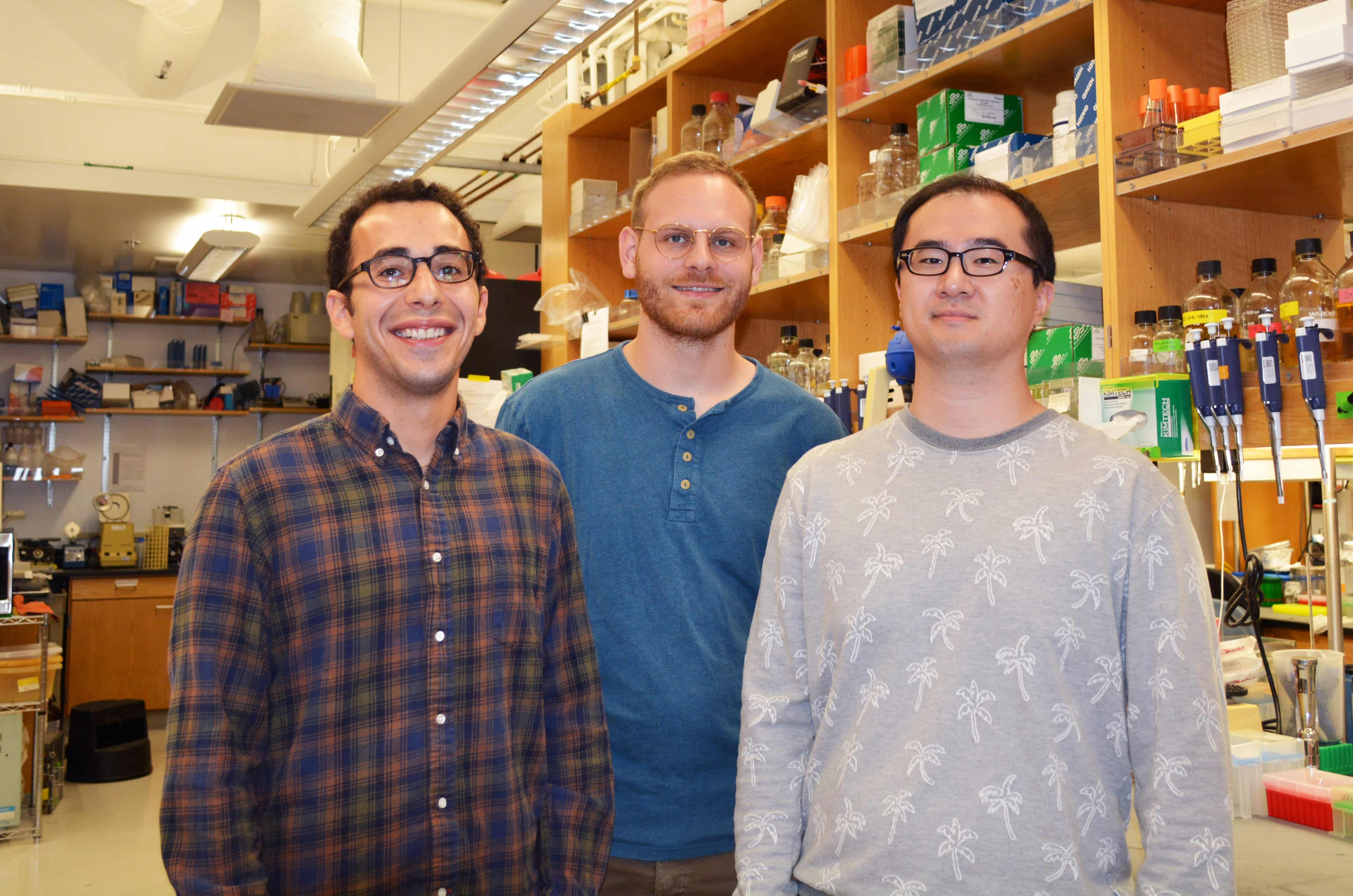 DNA 2.0 : Lab-originated Life form Produces Novel Proteins
