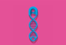 No-Cut, Epigenetic CRISPR Mends Defective DNA Study Links Intellectual Disability to Newly Found Mutation