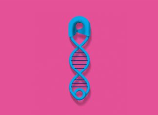 No-Cut, Epigenetic CRISPR Mends Defective DNA Study Links Intellectual Disability to Newly Found Mutation