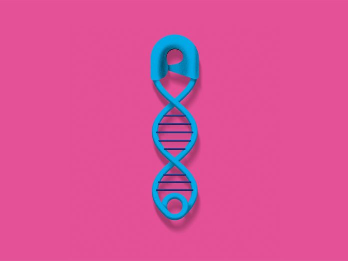 Study Links Intellectual Disability to Newly Found Mutation